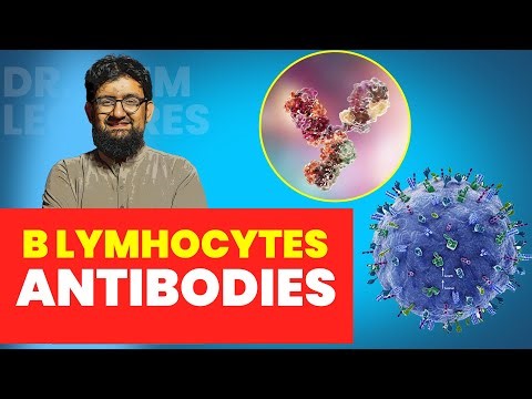 B Lymhocytes and Antibodies | Hindi / Urdu