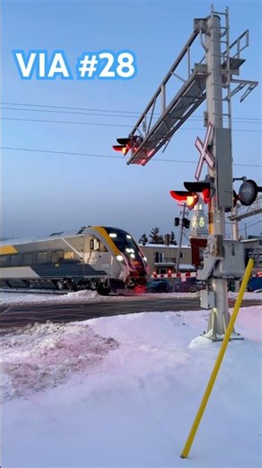 Siemens Charger 2229 pushes VIA 28 from Ottawa to Québec #viarail #railfanning #railwaycontent