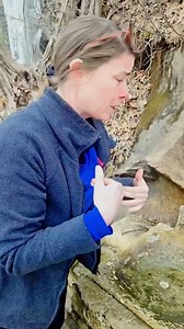 Benefits of spring water superior hydration, essential mineral intake (calcium, magnesium, potassium), and natural, chemical-free purity, supporting bone health, muscle function, and digestion! #springwater #hiddentreasure #thankGodforwater | Celecia Meadows