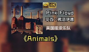 【HiRes 24bit\u002F192khz】Pink Floyd平克·弗洛伊德1977《Animals》每天音乐专辑分享，最高发烧音质中英歌词版