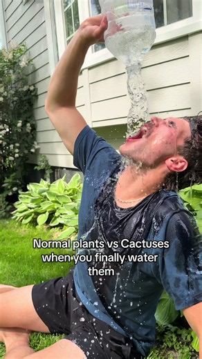 Kprez (@k.prezzi)’s video of cactus water