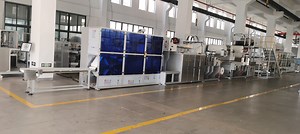 [Hot Item] China Under Pad Making Machine