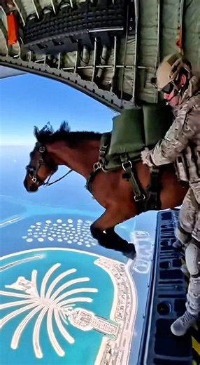 You Won’t Believe What Jumped Out of This Military Plane
