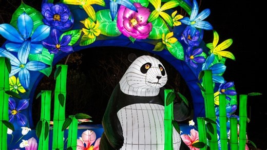 The Weekend Scene: Holiday outings and more to do in the DC area through Dec. 28