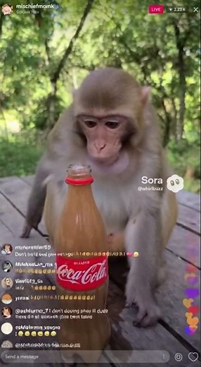 Monkey Tries Coke & Mentos… Instantly Regrets It 💀🐒