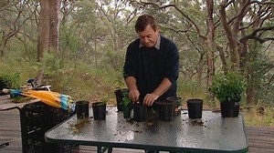 Layering Natives - Gardening Australia