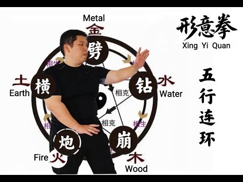 XingYiQuan 5 element linking form - 形意拳 五行连环 #kungfu #xingyiquan #wushufight