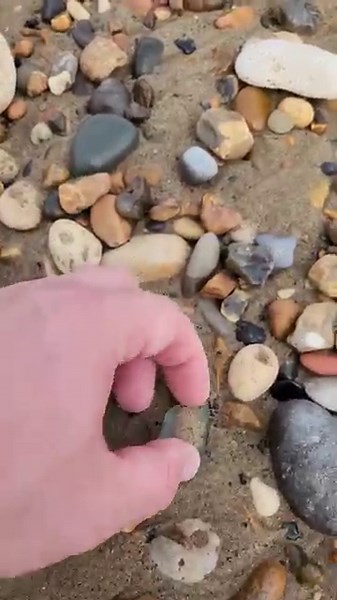 Rhombus pebble was hiding in sand found while beachcombing 🌊