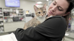 24/7 Emergency Vet Care in Tampa – Fast, Compassionate Pet Help | BluePearl Pet Hospital