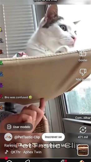 sla um meme aleatório