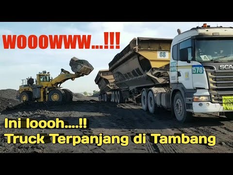 Proses pengangkutan batu bara dengan double trailer R580/jalur hauling terpanjang