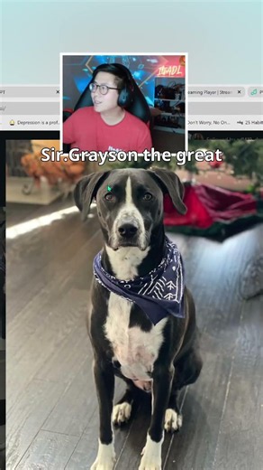 My Tiny Puppy Grew Into a 100-Pound Dog