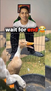 Try not To laugh Challenge pt 397 😂 @jelroolive | Water Challenge | #viral #trending #youtubeshorts