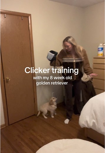 Clicker Training Tips for Your 8 Week Old Puppy