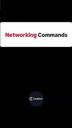 Networking Commands Every Student Should Know