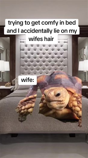 Getting Comfy in Bed: A Funny Meme