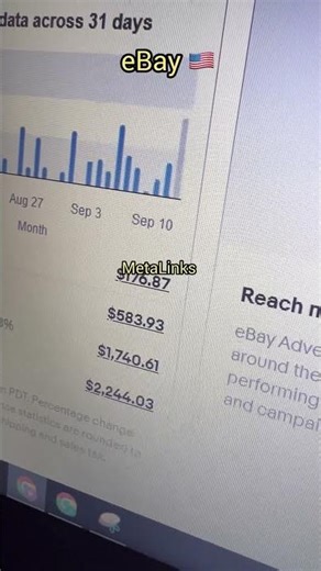 USA eBay Sales Report | One Month eBay Store Sales & Profit Breakdown