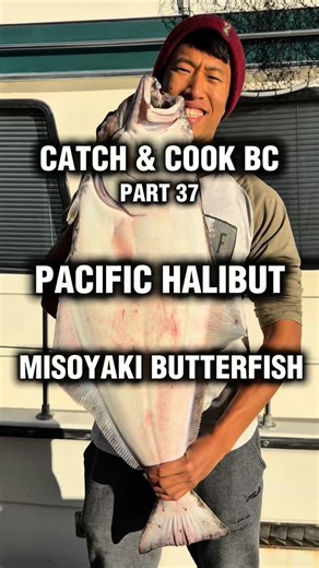 JP on Instagram: "🐟🔥 CATCH & COOK BC – Halibut Misoyaki Butterfish 🍶🧈✨ Caught a BC halibut — thick, snow-white, and pulled from cold, serious water 🌊🎣. Took inspiration from Hawaiian misoyaki butterfish and gave this halibut the same treatment: a sweet white miso marinade, time to soak it in, then straight under the broiler until the glaze bubbled and caramelized 🔥🍶. No pan, no fuss — just top heat doing the work while the fish stayed moist and flaky. Different fish, same island techniqu