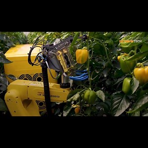 7.4K views · 50 reactions | This autonomous robot uses a camera to detect and harvest ripe fruits. | ExtremeTech | Facebook