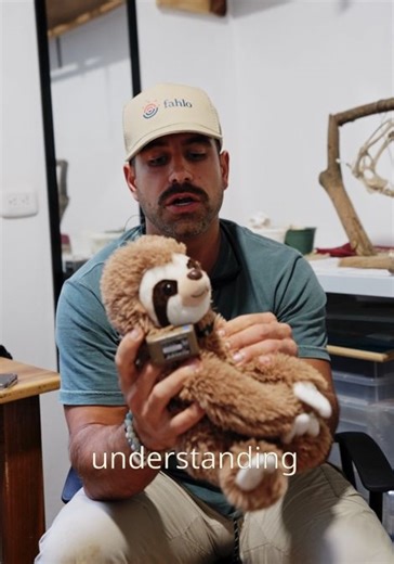 4.3K views · 87 reactions | What’s the deal with collaring sloths? After helping to catch and collar a few slowpokes himself with @slothconservation in Costa Rica this year, wildlife advocate and conservationist @blakemoynes breaks down the devices that allow researchers (and YOU!) to track real animals in the wild. | Fahlo | Facebook