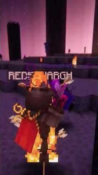 End Fight Part - 3 From Episode 2 of the MrBorgzSMP #minecraft #minecraftgameplay #gaming #fypage