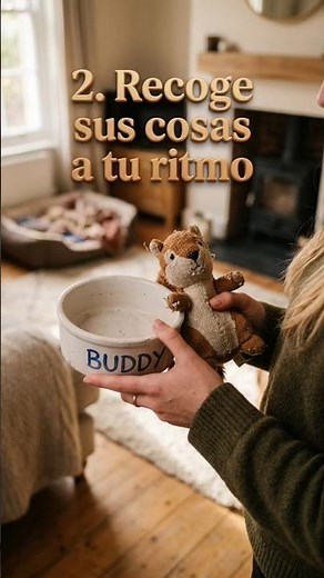qué hacer cuando muere un perro