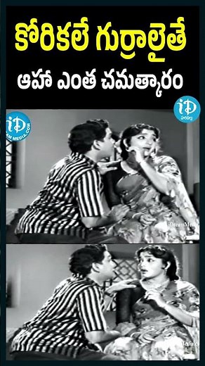 కోరికలే గుర్రాలైతే… ఆహా ఎంత చమత్కారం 😍 | ANR రొమాంటిక్ సీన్ | ఇద్దరు మిత్రులు