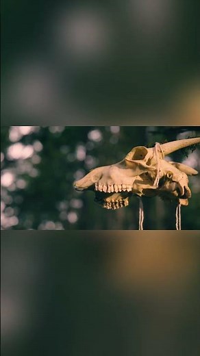 ANTLERS - Full Trailer #horror #horrorshortfilm #shortfilm #film