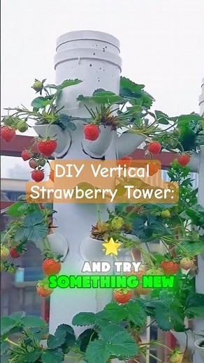 DIY Vertical Strawberry Tower