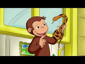 Curious George: Petsitter