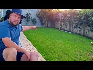 How To Replace Your Lawn / Detailed Step By Step