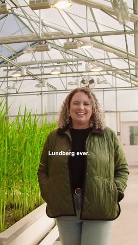 Lundberg Organic Rice Cake Minis, Original Sea Salt – Mini Rice Cakes, Healthy Snacks for Adults and Kids, Vegan Snacks, Gluten-Free, Healthy Food for Snacking & Dipping, 5 Oz