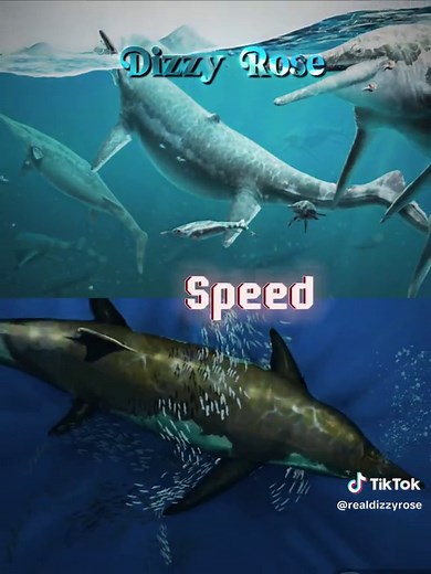 Shonisaurus vs Himalayasaurus #1v1 #vs #ichthyosaur #himalayasaurus #shonisaurus #shastasaurus #reptile #animal #prehistoric #mosasaurus