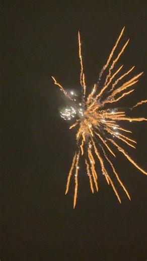 Gold #fireworks #pyro #feuerwerk #pyrotechnica #silvester #happynewyear #eventpyrotechnik #newyear
