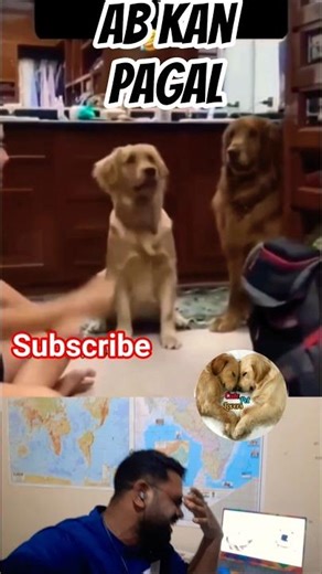 Neela Drum Ka Khof 😄#ytshorts #funny #memes #trending #viralshort #pets #funniestvideo #funnyreel