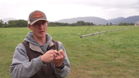 Unique Crops: Montana hop farmer supplies local breweries amid industry challenges
