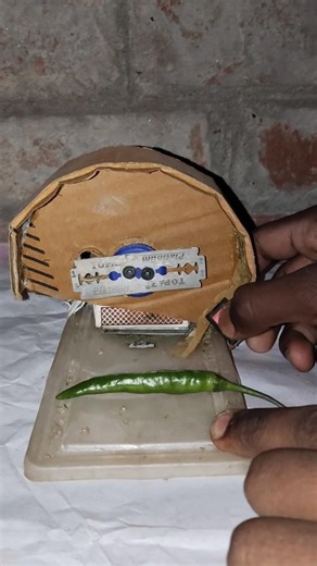 High Power Chilli Cutting ✅️ #dcmotor #youtubeshorts #chilli #innovation