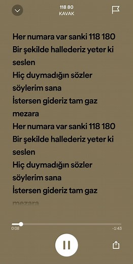 Kavak-118 80 Şarkı Sözleri ve Spotify Mp3