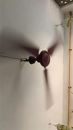 pankha chale to hawa deta hai 😂😂 like and subscribe kero 🙏👍