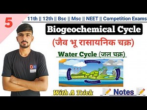 Water Cycle In Hindi || Biogeochemical Cycle || Environmental Biology || By Dadhich Sir