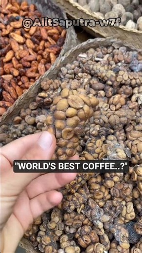 4 Indonesian Coffees the World Loves!