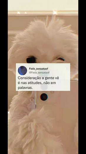 Pomeranian Puppy: Soft White Fluff and Adorable Traits