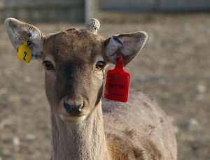 LAPD Cellphone Tracking Clarification Still Raises Concerns