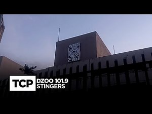 DZOO 101.9 Stingers (1987-1989)