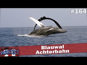 Blauwal Achterbahn 🎡 PARKITECT Kampagne #164