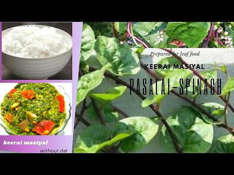 Pasalai Keerai Masiyal Recipe /🍀 Spinach Kadayal Without Daal /Indian Keerai Recipe by leaf food