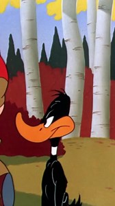 Looney Tunes Rabbit Season Duck Season Explained