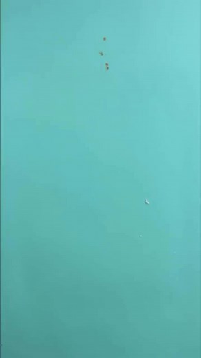 9.4K views · 229 reactions | Spackle is such a fun medium to craft with!!! #craftreels #crafts #spackle #art #artwork #easycrafts #trendingreels #trendingcrafts #DIY #diycrafts | Creative Living with Lynn Lilly | Facebook