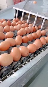 29M views · 194K reactions | Amazing Technology Bread Making Machine !! | Pearl Modiadie | Facebook