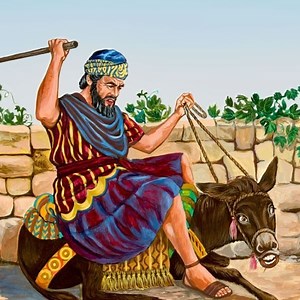 Know Everything about ~ Balaam ~ with Photos | Videos